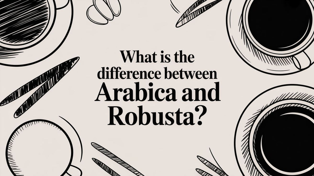 What is the Difference Between Arabica and Robusta?